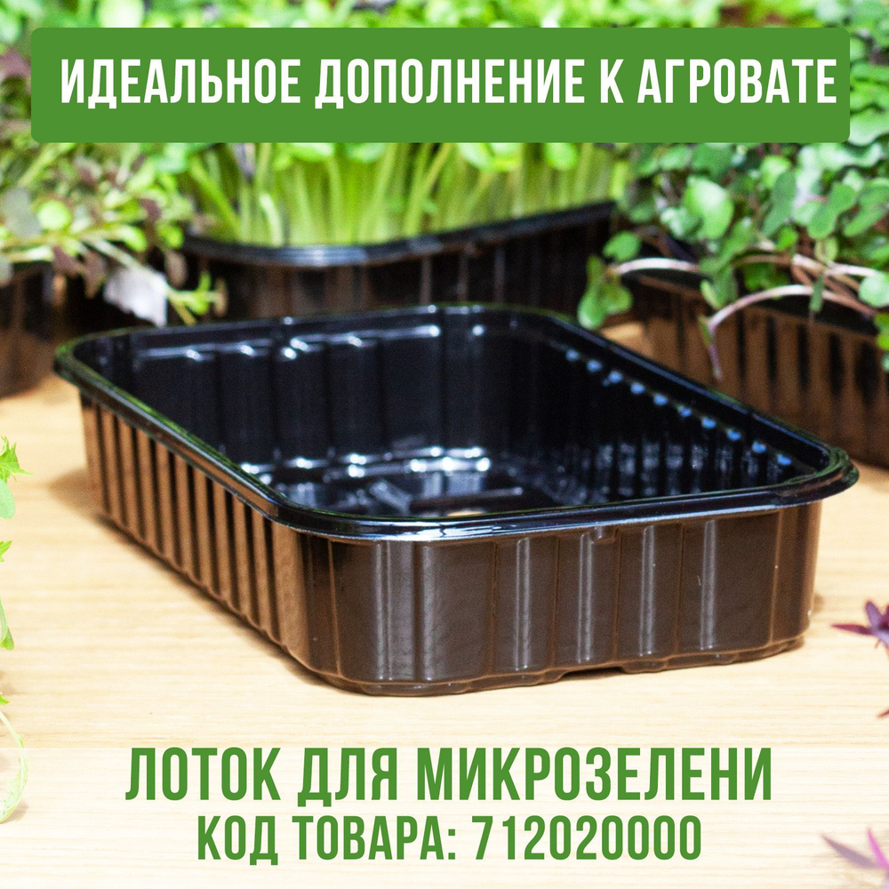 Агровата для выращивания микрозелени набор 10 шт / 16,5*10*1 см /субстрат для выращивания микрозелени и растений