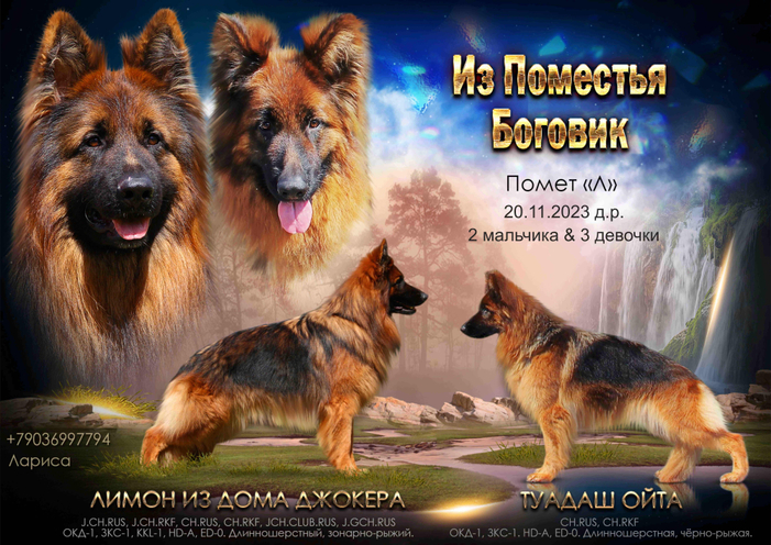 Помет "Л"