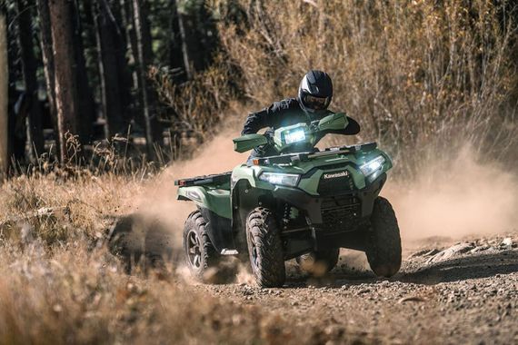 Квадроцикл KAWASAKI Brute Force 750 LE EPS (2024) (ПСМ)