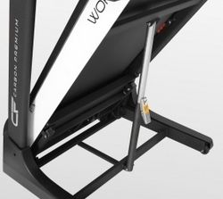 Carbon Fitness World Runner T2