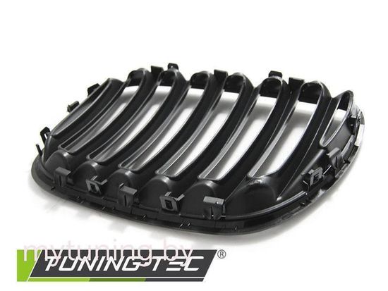 Решетка (ноздри) радиатора BLACK GLOSSY для BMW X5 E53 LCi