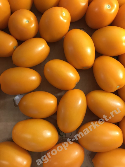 Органза F1 семена томата индетерминантного (De Ruiter Seeds / Де Ройтер Сидс) – фото 5