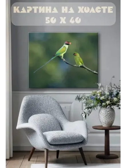 Картина на стену 40 X 50 Попугаи