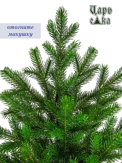 Ель Царь Елка Астерия Премиум 60см 3D