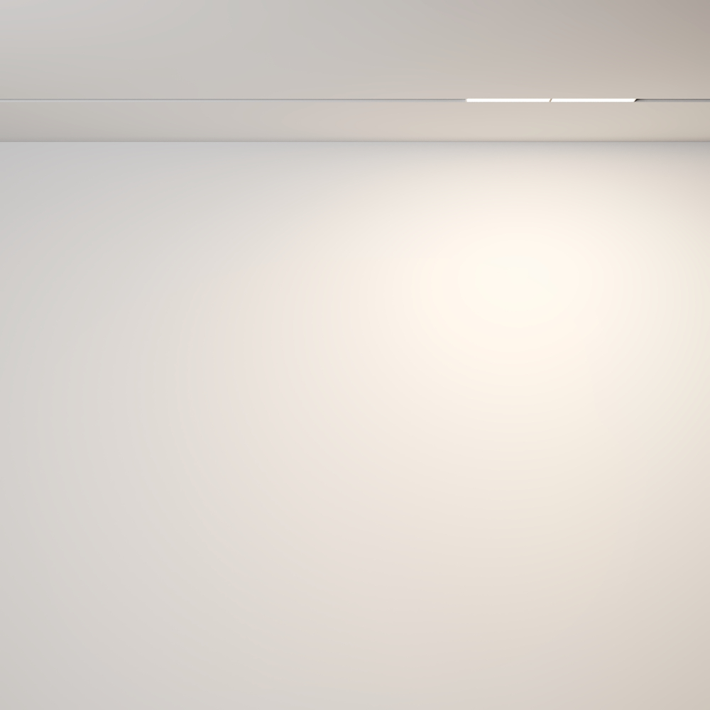 Магнитный трековый светильник Maytoni Parete TR106-2-12W3K-W