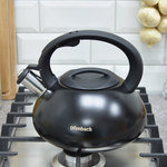 Чайник 2,5л нерж со свистком, с ручкой "soft-touch"