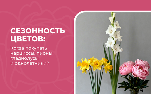 Сезонность цветов: когда покупать нарциссы, пионы, гладиолусы и однолетники