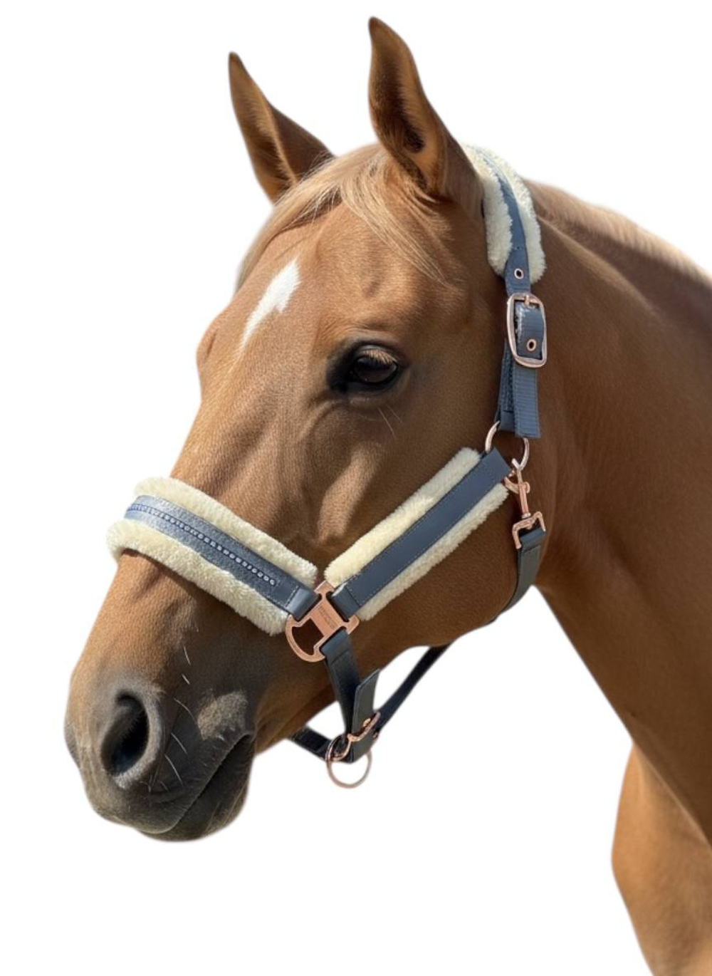 Недоуздок TGW / ТГВ