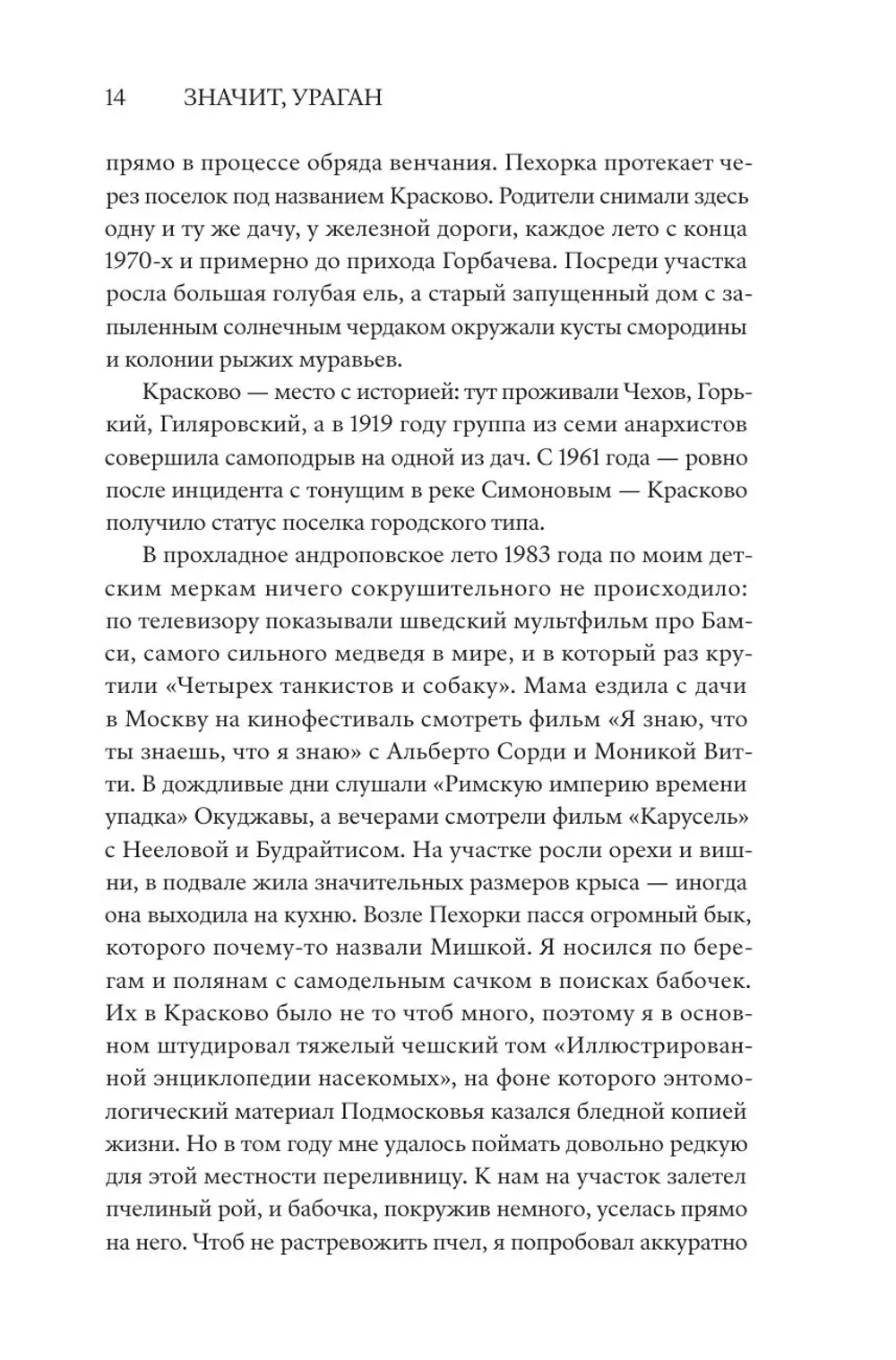 Книга Значит, ураган. Егор Летов: опыт лирического исследования