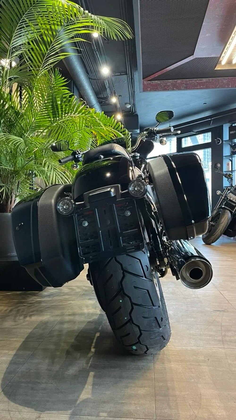Мотоцикл Harley-Davidson Sport Glide Softail (2024)