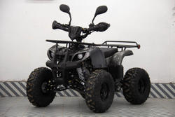 Квадроцикл UNIVERSAL ATV 125 TM Classic