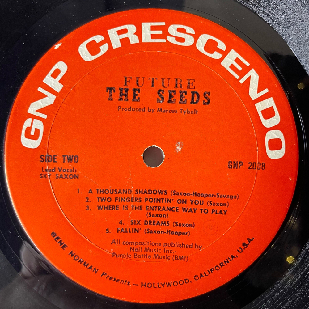 Винтажная виниловая пластинка LP The Seeds Future (США 1967)