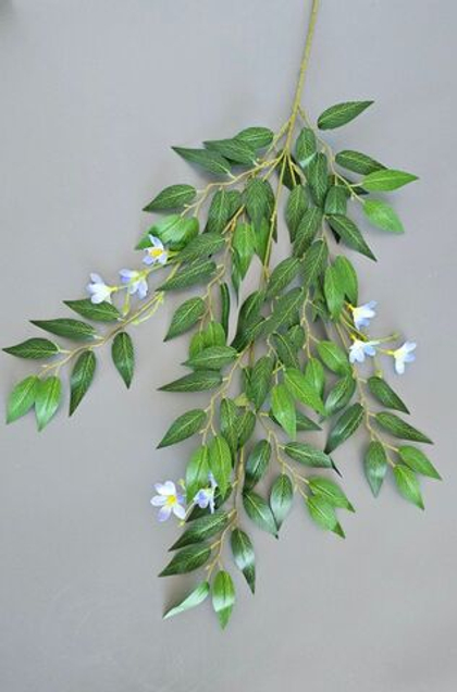 Рускус цветущий / Арт 1225