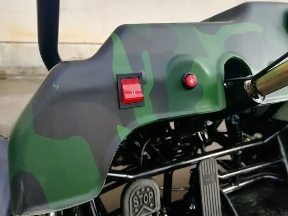 Багги Green Camel Намиб T009 (60V 1500W R7 Дифференциал)