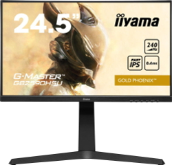 Монитор 24.5" Iiyama G-Master Gold Phoenix (GB2590HSU-B1)