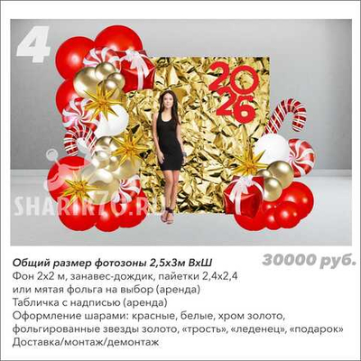 Фотозона Новый год 004