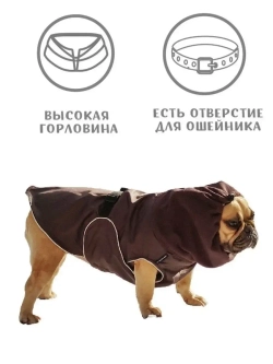 Попона для французского бульдога мопса