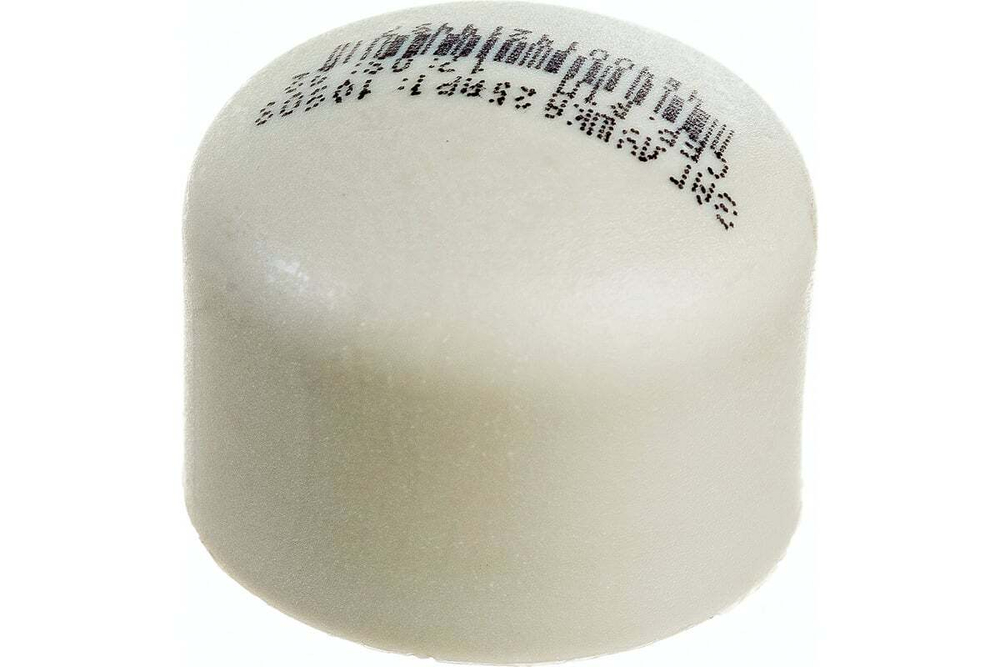 ЗАГЛУШКА РОСТУРПЛАСТ 25 PN 25 СЕРЫЙ 10909