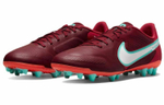 Кроссовки Nike Legend 9 Academy Ag