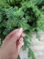 Искусственная узкая елка «Монте» (Литая хвоя) 120 см / 1,2 м