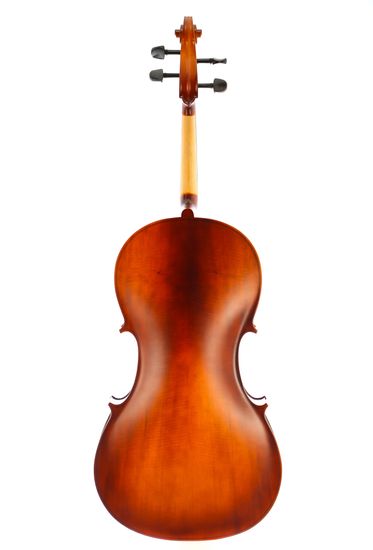 Виолончель 4/4 Fabio F-019A