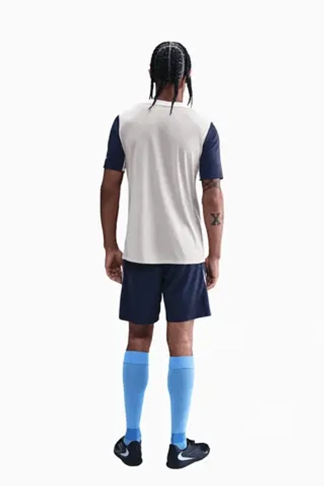 Футболка Nike Tottenham Hotspur 25/26 Strike - серый