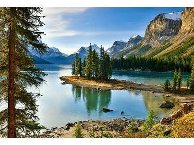 Картина по номерам 40х50см "Хвойный лес и озеро с горами" (Арт. ХК-6234)