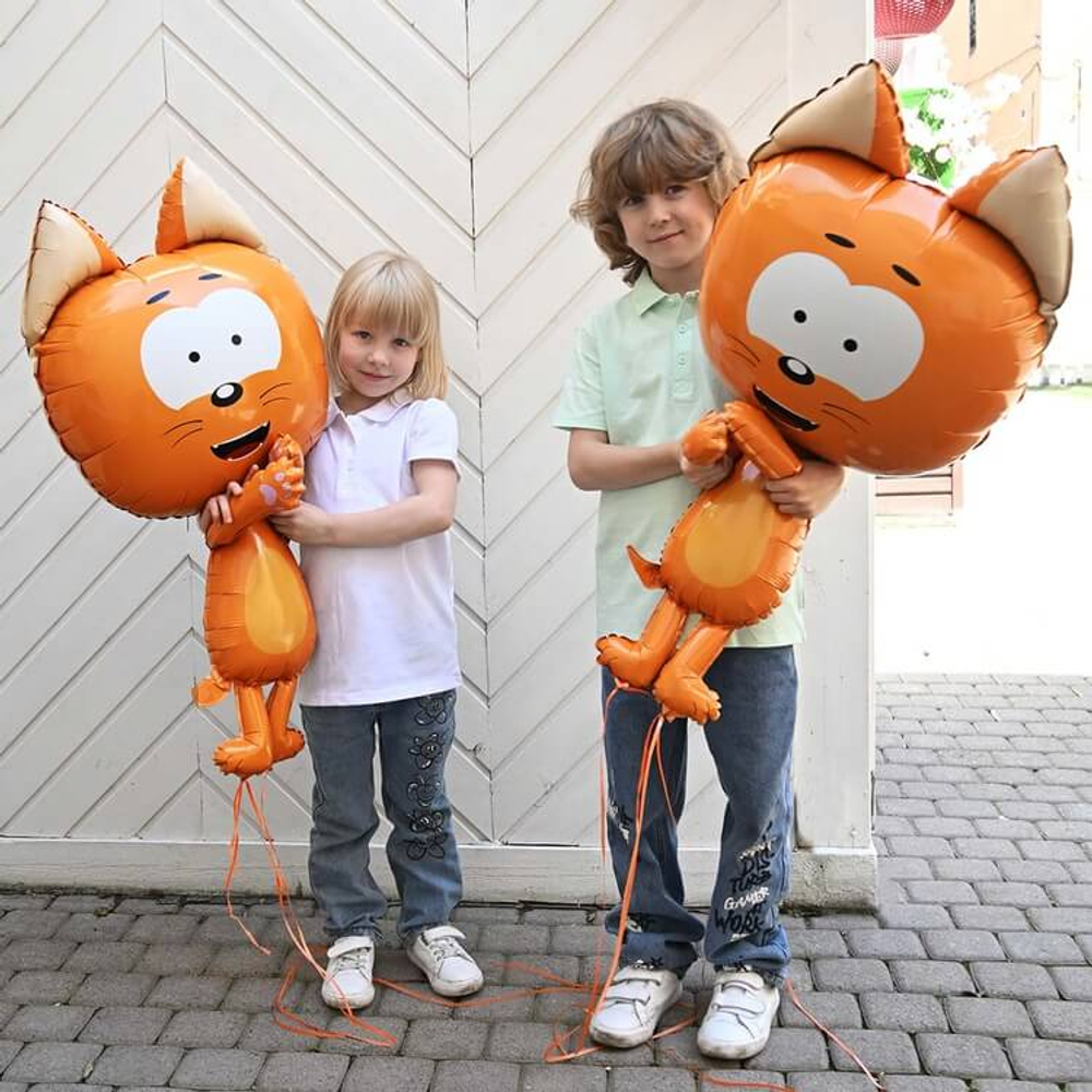 Шар Котенок Котэ, Фигура