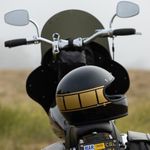 Gringo Gloss / Черно-золотой