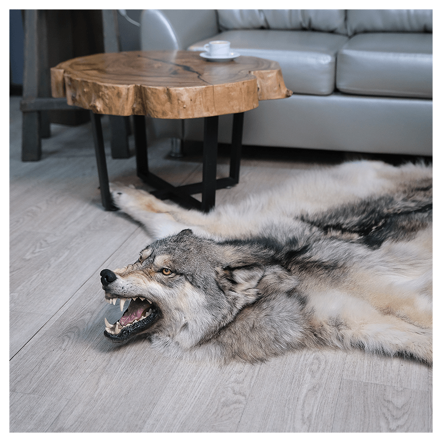 Шкура волка «Таймырский хищник»