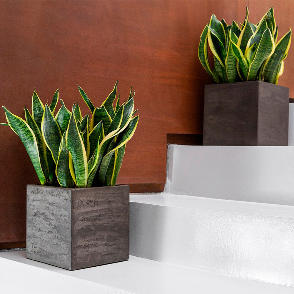 Кашпо BONSAI BREZENT GREY D50 H20