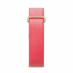 Google Fitbit Air
