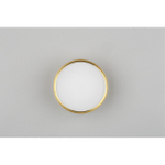 Накладной светодиодный светильник Omnilux Abano OML-103329-12