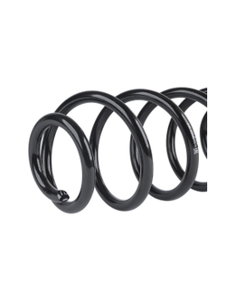 Пружина задняя L=R для CHEVROLET Aveo III (11-) GANZ GIK02650