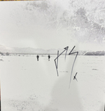Thirty Seconds To Mars / A Beautiful Lie (Limited Edition)(Coloured Vinyl)(LP)