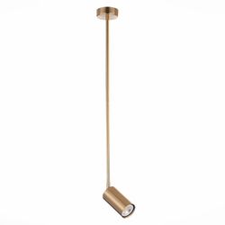 Светильник на штанге ST-Luce SL1206.303.01