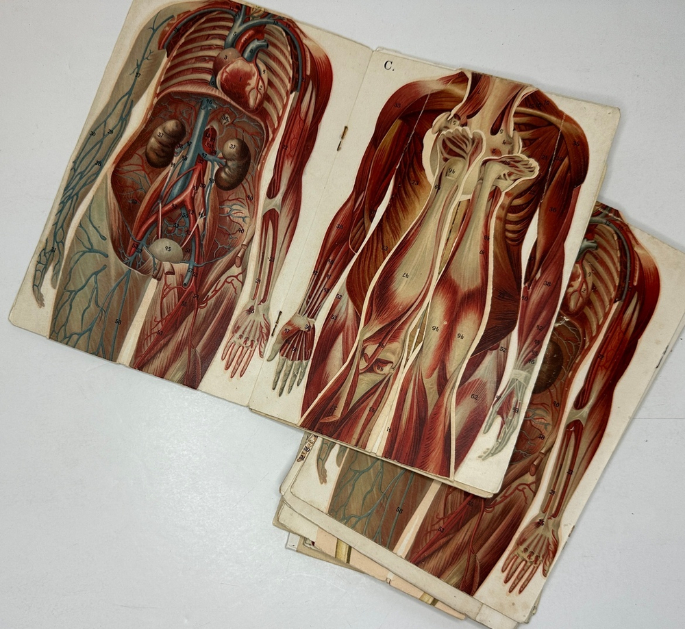 Платен М. Новый способ лечения. Лечение целебными силами природы. — Берлин: Изд. Просвещение, 1901