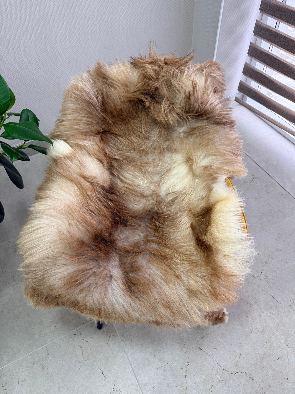 Шкура коврик меховой прикроватный овчина, 120х65 см.