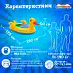 Электрическая бамперная лодка «Утёнок» XL, взрослая на часовом механизме