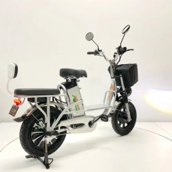 Электровелосипед Green Camel Транк Монстр (R16FAT 500W 60V20Ah) гидравлика