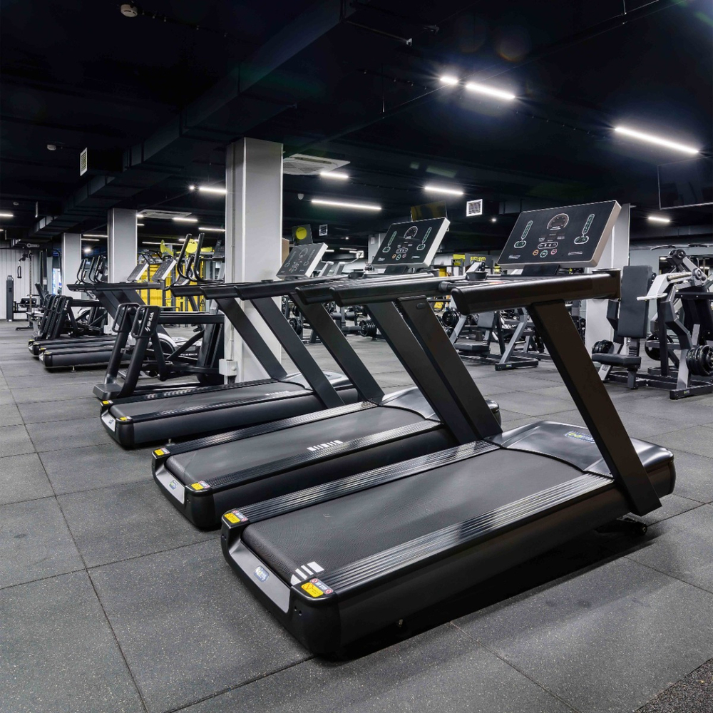 Профессиональная беговая дорожка DHZ X-8600P