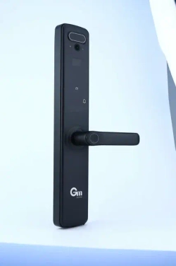 Gimmel F35 Tuya - умный полуавтоматический замок c Face ID