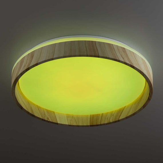 Потолочный светильник Citilux CL753352G