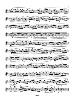 24 каприса для скрипки | Роде Пьер