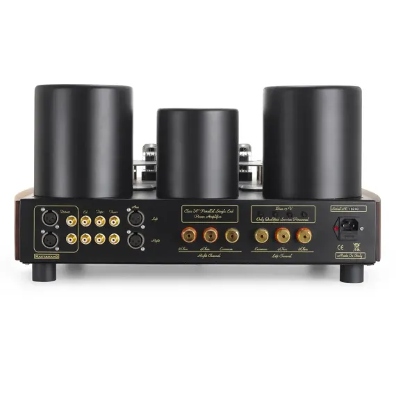 Mastersound Evolution 845 Black Wood