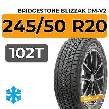 Bridgestone Blizzak DM-V2 245/50 R20 102T