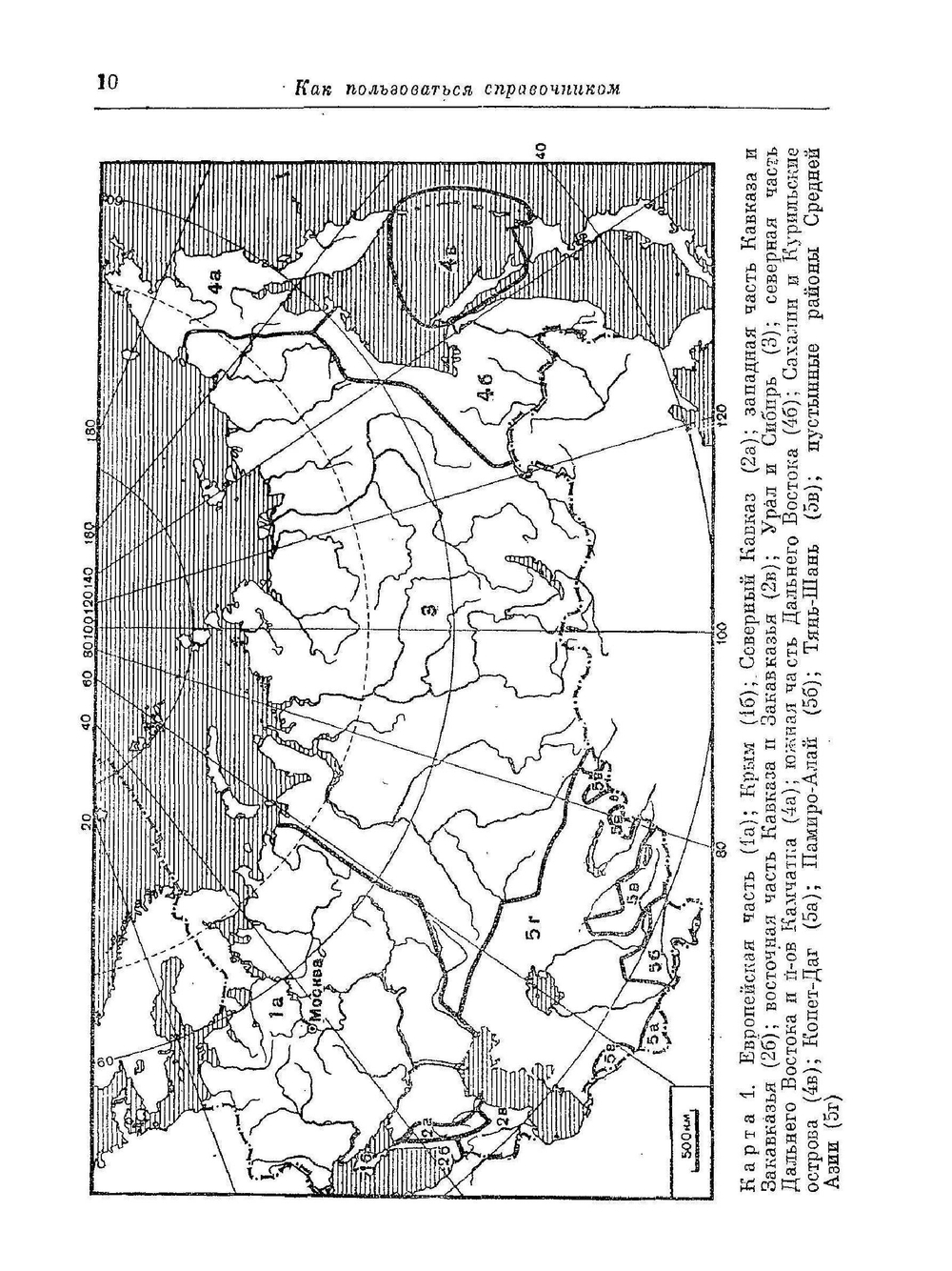 Деревья и кустарники СССР | Н.А. Бородина