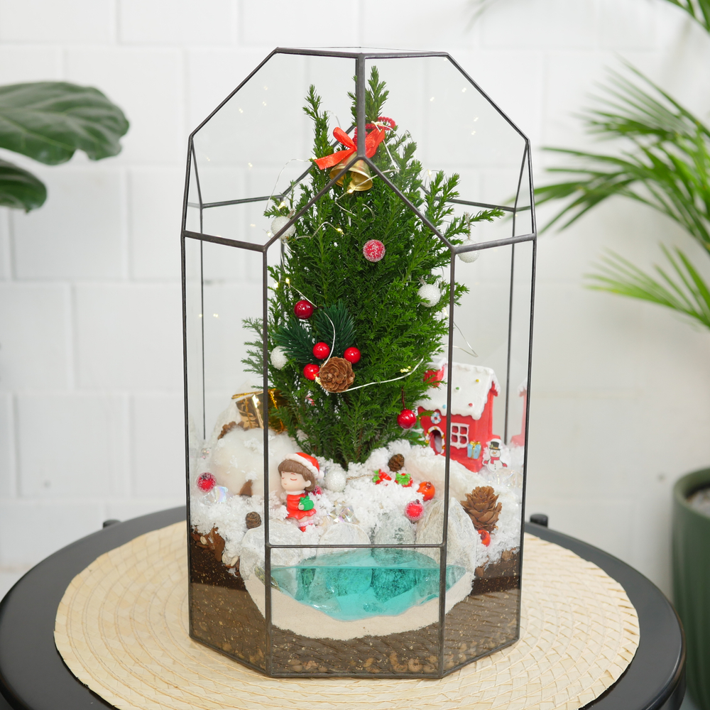 Готовый новогодний флорариум Бонсариум 35см с озером