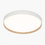 Потолочный светодиодный светильник Citilux Etalon CL750400R