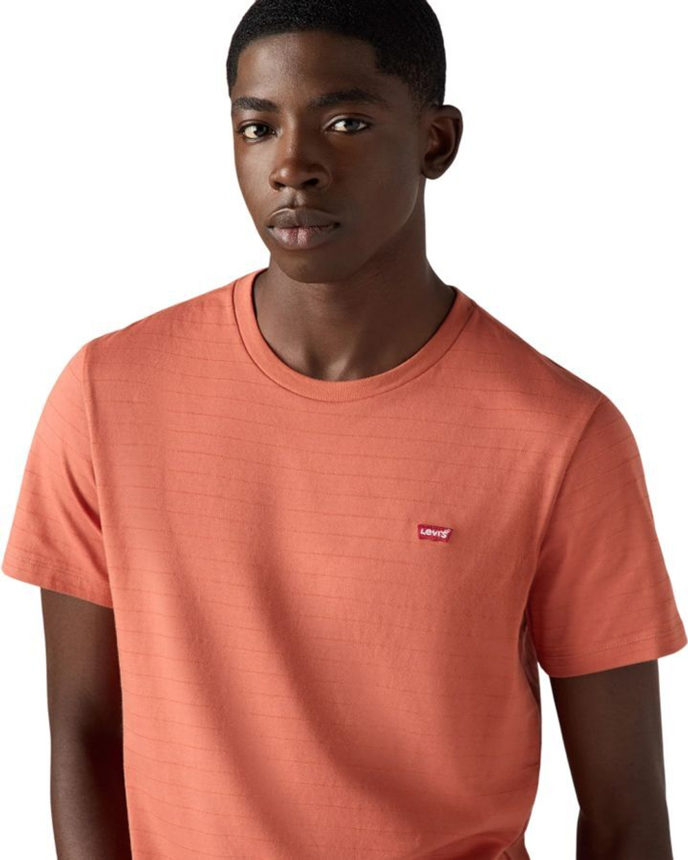 Футболка Levis SS ORIGINAL HM TEE красный